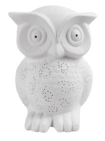 Simple Designs Porcelain Wise Owl Shaped Animal Light Table Lamp