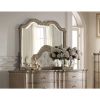 ACME Chelmsford Mirror in Antique Taupe 26054 - as Pic