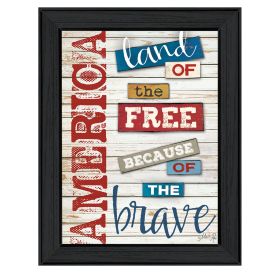 "America - Land of the Free" By Marla Rae, Printed Wall Art, Ready To Hang Framed Poster, Black Frame - as Pic