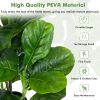 2-Pack Artificial Fiddle Leaf Fig Tree for Indoor and Outdoor - Green