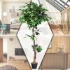 5.5 Feet Artificial Ficus Silk Tree with Wood Trunks - Ficus