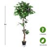 5.5 Feet Artificial Ficus Silk Tree with Wood Trunks - Ficus