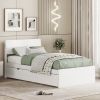 Modern Twin Bed Frame With Twin Trundle For White High Gloss Headboard and Footboard With Washed White Color - as Pic