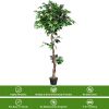 5.5 Feet Artificial Ficus Silk Tree with Wood Trunks - Ficus