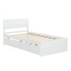 Modern Twin Bed Frame With Twin Trundle For White High Gloss Headboard and Footboard With Washed White Color - as Pic