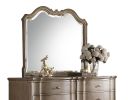 ACME Chelmsford Mirror in Antique Taupe 26054 - as Pic