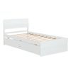 Modern Twin Bed Frame With 2 Drawers For White High Gloss Headboard and Footboard With Washed White Color - as Pic