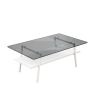 Rectangle Coffee Table, Tempered Glass Tabletop with White Metal Legs, Modern Table for Living Room , Gray Glass - as Pic