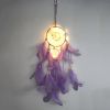 1pc Creative Dream Catcher With LED Lights; Night Light Dream Catcher; Wall Hanging Ornament - White