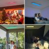 18W RGB LED Ceiling Light with Remote Control - as show