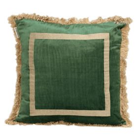 Parkland Collection Catia Transitional Throw Pillow (Color: Green, size: 20" x 20")